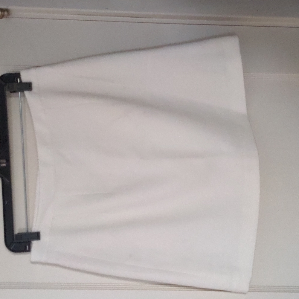 *Outfit* Banana Republic skirt (6) Calvin Klein Shirt (M) Tailor Shirt (M) - Picture 6 of 17